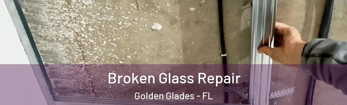 Broken Glass Repair Golden Glades - FL
